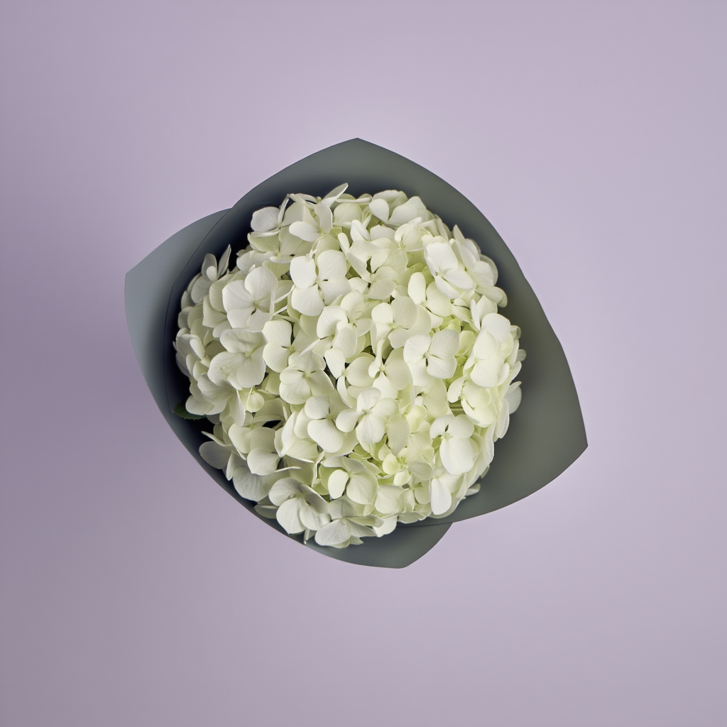 Біла гортензія 1 шт.